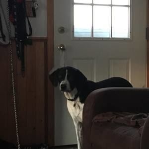 Meet your Posher, Mandy